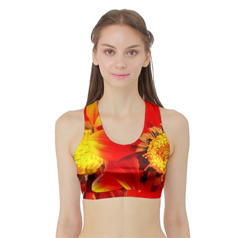 Sports Bra with Border 