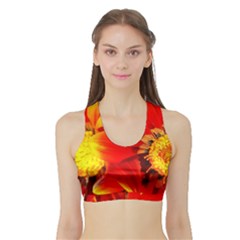 Red & Gold Floral Crop - Sports Bra with Border