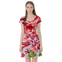 Salad Chip Dressing - Short Sleeve Skater Dress