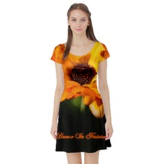Marigold Dance In Nature Dress - Short Sleeve Skater Dress
