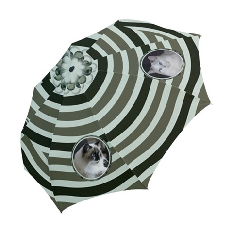 Folding Umbrella 