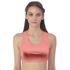 Fitness Sports Bra