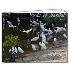 Saniibel 3g - 11 x 8.5 Photo Book(20 pages)
