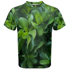 Men s Cotton T-Shirt