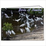 Saniibel 3A1 - 11 x 8.5 Photo Book(20 pages)
