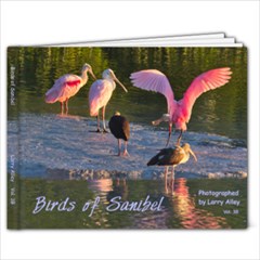 Saniibel 3B1 - 11 x 8.5 Photo Book(20 pages)