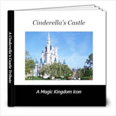 Cinderella s Castle - 8x8 Photo Book (30 pages)