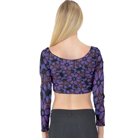 Long Sleeve Crop Top 