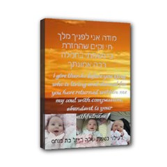 Mini Canvas 7  x 5  (Stretched) 