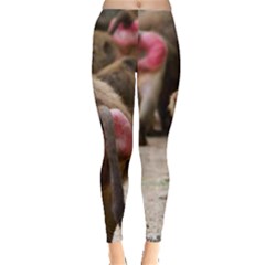 Everyday Leggings 