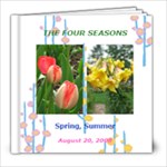 4 seasons - 8x8 Photo Book (30 pages)