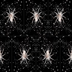 Spiders 