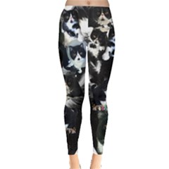 SmushFaceCat Leggings - Everyday Leggings 