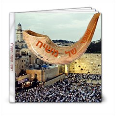 KS Rosh hashano 774 - 6x6 Photo Book (20 pages)