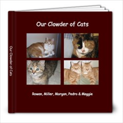 Cats - 8x8 Photo Book (20 pages)