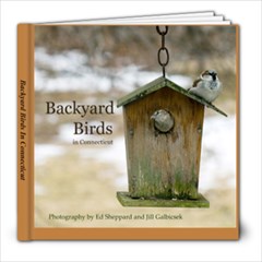 Backyard Birds In Connecticut - 8x8 Photo Book (20 pages)