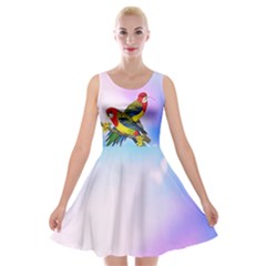 tropical parrots skater dress - Velvet Skater Dress