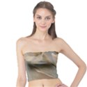 2 Flower Print Design Tube Top View1