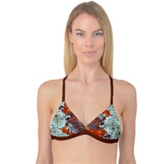 Reversible Tri Bikini Top