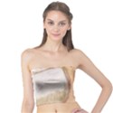 roots Tube Top View1