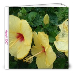 Hawaii 2007 Book 2 - 8x8 Photo Book (20 pages)