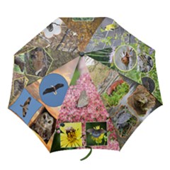 NSCNA - Folding Umbrella