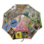 NSCNA - Folding Umbrella