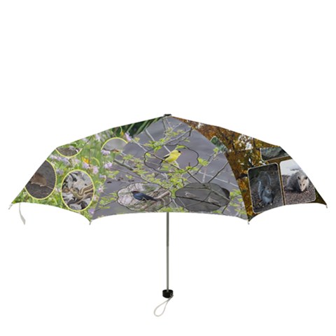 Folding Umbrella 