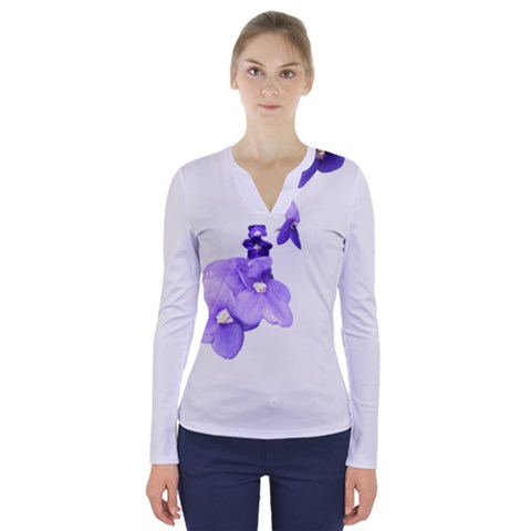 V-Neck Long Sleeve Top 