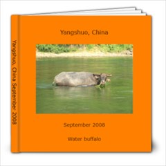 Yangshuo, China Sept 2008 - 8x8 Photo Book (20 pages)