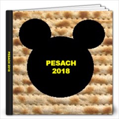 Pesach 2018 - 12x12 Photo Book (20 pages)