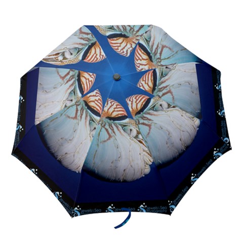 Folding Umbrella 