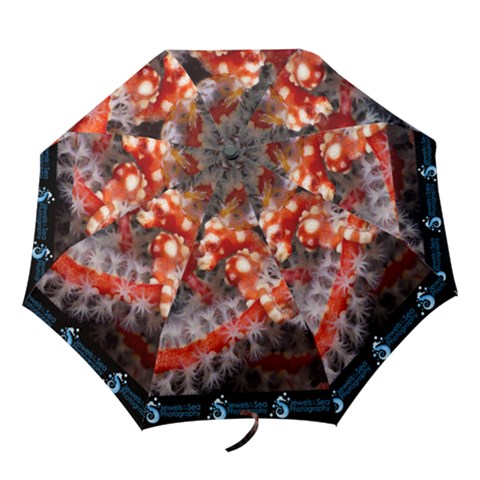 Folding Umbrella 