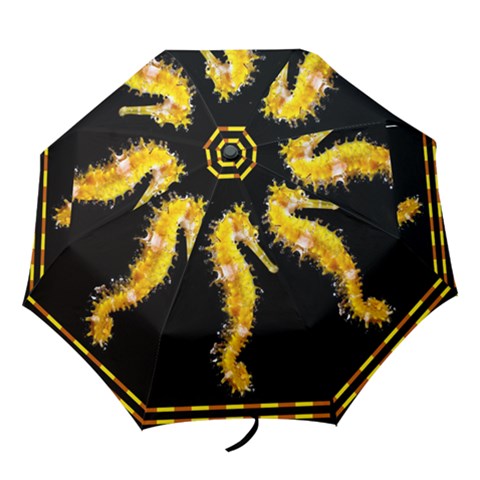 Folding Umbrella 