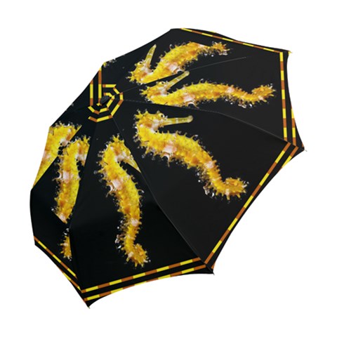 Folding Umbrella 