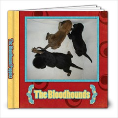 Bloodhound Puppies - 8x8 Photo Book (20 pages)