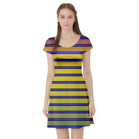 Short Sleeve Skater Dress Front