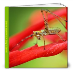 A Bug s Strife - 8x8 Photo Book (20 pages)