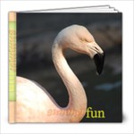 Flamingoes - 8x8 Photo Book (20 pages)