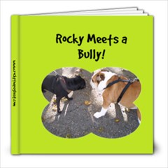 personalized book for Nathan Final Rocky Meets A Bully, updated 2014 - 8x8 Photo Book (20 pages)