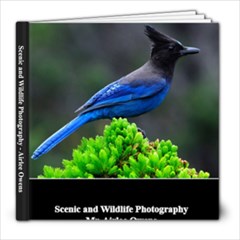 30 Page 8x8 - 120208 - 8x8 Photo Book (30 pages)
