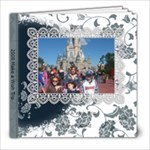 Our Disney Trip - 8x8 Photo Book (20 pages)