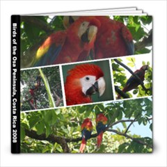 Birds of the Osa Peninsula - 8x8 Photo Book (30 pages)