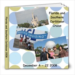 florida 2008 - 8x8 Photo Book (30 pages)