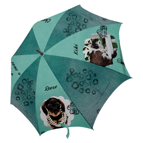 Hook Handle Umbrella (Medium) 