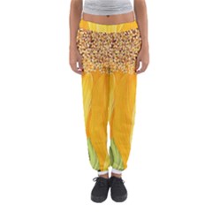 sweat pants for women - large - Women s Jogger Sweatpants