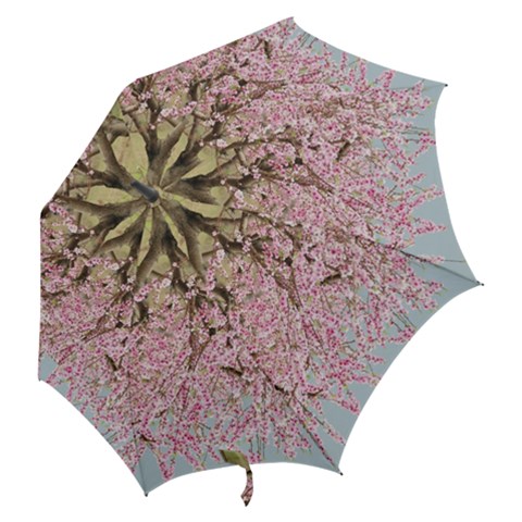 Hook Handle Umbrella (Large) 