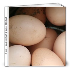 FarmBook1 - 8x8 Photo Book (20 pages)