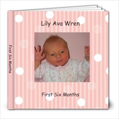 lily s 1st 6 months - 8x8 Photo Book (20 pages)