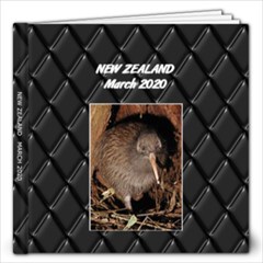 NEW ZEALAND MARCH 2020 - 12x12 Photo Book (20 pages)